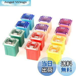 yzKiligen 12 12V-24V gbNAԁASUVp̎ԗp[vt@CJcase{bNX^eq[YA{[gi20A/25A/30A/40A/50A/60AAe2j