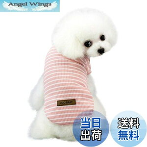 yzKingsie  TVc ėp ̕  XgCv xXg hbOEFA ^ L ybg tďH o U (L, sN)