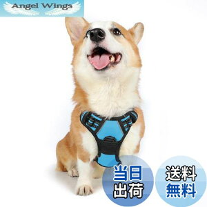 yzRabbitgoo  n[lX ^ 13-20KG \tg 킢 p h~ SȂ TCY Ԕ Ȃ ʋC Pݖh~ U s⏕ V 