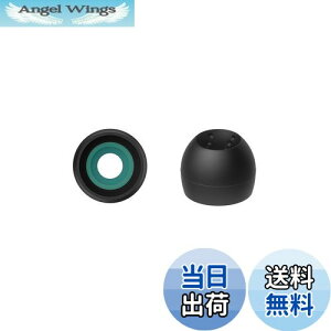 �y���������zJVC�P���E�b�h JVC EP-FX10MS-B �����p�C���[�s�[�X �X�p�C�����h�b�g++ 4���� MS�T�C�Y �u���b�N