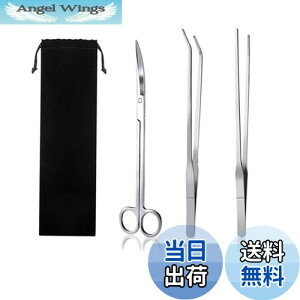 yzYINKE  sZbg & nT~ 3_Zbg XeX p ֗ @\ ٗp p[ܕt