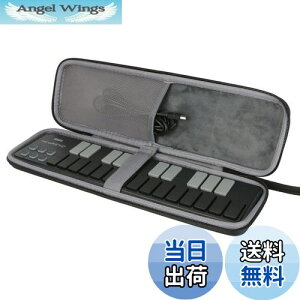 yzyco2CREA p[P[XzKORG  USB MIDIL[{[h nanoKEY2 25 MIDIRg[[ nanoPAD2 16pbh ɑΉiP[X̂݁j