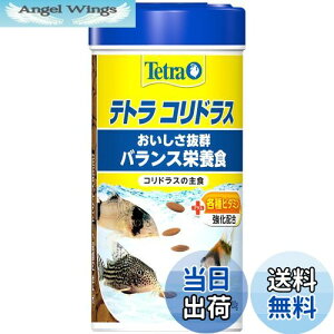 yzeg (Tetra) RhX 120g RhXꐱ̎H oXh{H Mы [`  GT