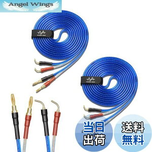 yzyoinz 2{1g LRZbg yoiivOHρz by yWYVERN AUDIOz 24kbL vO Xs[J[ P[u in_ς By WYVERN AUDIO (oiivO̐jvO / 