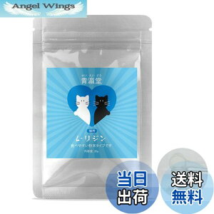 yzi(ǂ)x L-WLp(20g) ^₷ɍו^Cv vʃXv[t