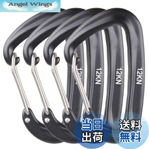 yzAzarxis bNJri ω׏d 12KN(1200kg) oRt A~ Jri DO bLO L[O Eh~ y @\ nbN Lv AEghA