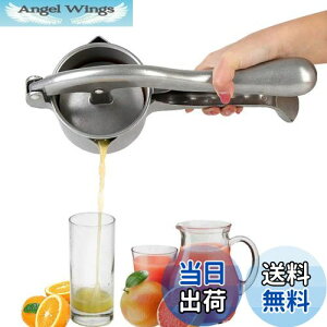yzHCTOOL nh W[T[ ʏ` i ڂ W[T[ i ቷ 蓮 ʏ`  W[Xi t[cڂ Ɩp ƒp (F)