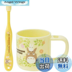 yzXP[^[(Skater) X^ht Rbv uVZbg uV Rbv ƂȂ̃gg X^WIWu KTB5