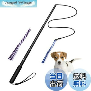 yzpފƂ [v   hM[} Pp p ފƌ^ OߐLkł 2pt 3`5Jɔzς