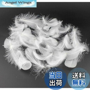 yzKingsie VR H 100Zbg tFU[V[ HV[ |f  EGfBO o (zCg)