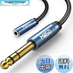 yzMillSO 6.35mm 3.5mmϊ 3m XeI~jvOiXj˃XeIWvOiIXjTRS 6.35mmtHvO AvwbhzϊP[u WvO ~jvO ϊ bLi30