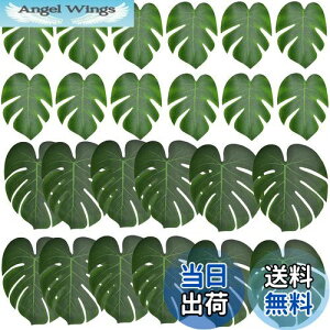 yzBestgleXe̗t lHt t sȂtFCNO[ 24ZbglϗtA T̗t  Be p ins Ǌ| CeA 