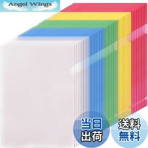 yzNAt@C A4 Leobro 50 NAz_[ J[ 5F×10 bh u[ O[ CF[ NA e ސ ޕی [ Ɩp