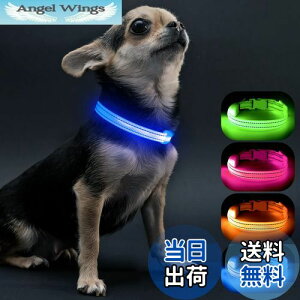 yzVisinite LED, ^ U CgUSB[d, qLɓK߉\Ȓ, y, Â  300m悩ڎ\,  Cg邠ȂɏȌLڂɌĈ