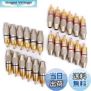 yzMeliore bL RCA vO [q ͂ X ^Cv IX PLUG TYPE ^Cv B P[u  ԍ bh ubN 24 Zbg