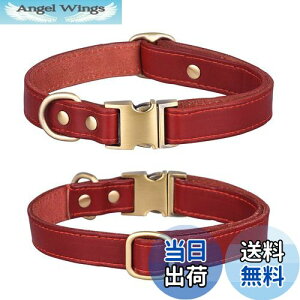 yz  v ̎ _炩 ߉\ ^ ^ ^ pi  ʋC 킢 (, M)