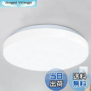 yzDINGLILED LEDV[OCg 20W 5700-6000K F ^ 4 6 ی^ ^ y Px F  ȃGl ȒPt Hsv PSEF؍ς ʏ gC  kiR