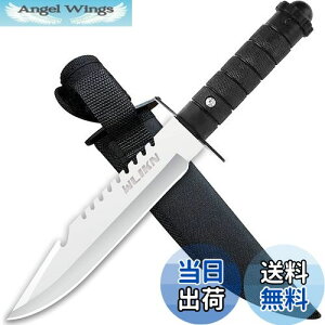 yzWlikn V[XiCt ToCoiCt S280mm AEghA ނ d  o[xL[ Lv P[Xt