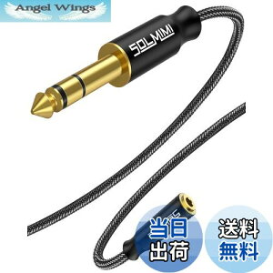 【送料無料】SOLMIMI 1.5M 3.5mmステレオミニ(メス) ⇒ 6.35mm標準プラグ(オス)アンプヘッドホン変換ケーブル 25cm オーディオ変換アダプター