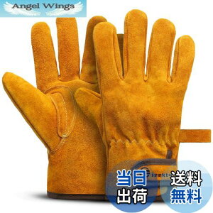 yz[Fieekty] ϔMO[u Lv  o[xL[ AEghApϔM yϔMiz LȂ v ω dXg[u Α n |p Ɨp tz 