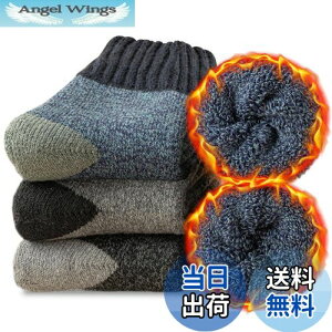 yz[Caudblor] E[ C Y h \bNX E[\bNX ~p C  ɒg g h\bNX   z hL ʋC 3Zbg 25-28cm