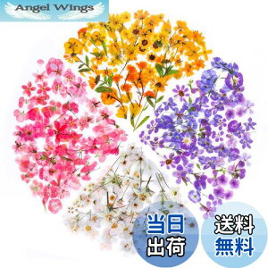 yzYOVOY 164 R[W f V[ ԃV[Zbg t[NV[ XebJ[ e    A 蒠fރXebJ[ KXrƉ