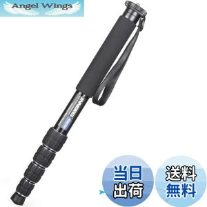yzINNOREL r Jp RpNgr A~r 12KGω׏d 5iLk gx/쒹B//X|[cCxgɑΉ sr RM325A