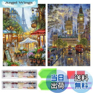 yzTRX _ChA[g Lbg _Ch̊G 2Zbg ꂢ Sʓ\t _ChA[g 5D S l̎q DIY |Lbg Ƃ̕ǂ̑ (Xg[gr