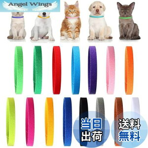 yzYINKE qL qp 15FZbg ybgpʎ V ybg _̑f }WbNe[vt _uTCh ߉\ ȒPE q