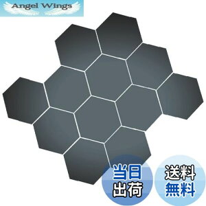 yzBIRLD EH[ ~[ XebJ[  \t  WALL MIRROR STICKER Ȃ Zp`  12 [ ubN ] MTCY