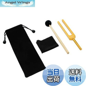 yzDreld 528Hz  `[jOtH[N `[i[ DNACq[O ȃq[Oy N[jONX VRn}[ [|[`t 򉻁AVg̉F S[f