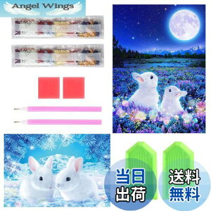 yzTRX _ChA[g Lbg _Ch̊G 2Zbg ꂢ  Sʓ\t 5D _ChA[g S l̎q DIY |Lbg Ƃ̕ǂ̑iET