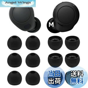 yzA-Pcas C[s[X SonypC[s[X WF-C700npC[s[X WF-C500 p WF-1000XM4p WF-1000XM3p K tBbg  K 􂢉\ VR yubN MTCY 6yAz(