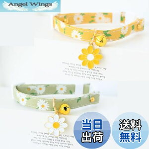 yzYINKE L Lp 2Zbg t f[W[̉ԕ Z[teBobN  lR   ^Kp y S S \ |GXe (O[{CG