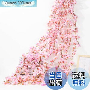 yzsiawadeky  K[h  ͂Ȃ 4{ 135/{ lHϗtA ԗ ʐ^  v|[Y p[eB[  lHǊ| ݂艺 fR[V o