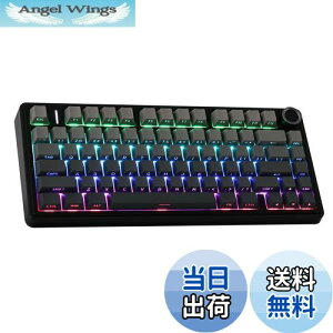yzEPOMAKER x Aula F75 Q[~OL[{[h KXPbg JjJL[{[h 5wpbhmut 75% CX zbgXbpu Bluetooth/2.4GHz/USB-C RGB ZKF؎擾 (Black Gradient, 