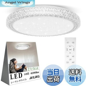 yzOOWOLF LEDV[OCg 10 4200lm   F Rt d铔 ₷݃^C}[ @\ 6`10 Ceiling Light rO Q a 䏊 VƖ