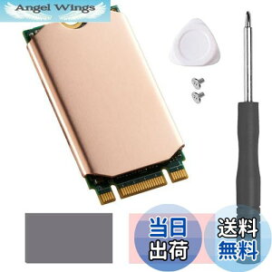 yzHaojiaho M.2 2242 NVME SSDp q[gVN  Mpbht Nvme2242 \bh Xe[g hCu WG[^[ CLbg