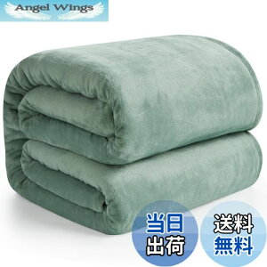 yzHansleep ѕz VO ~p uPbg 140x200cm }CNt@Co[ _炩G tl 􂦂 Ódh~ lGKp (140x200,J_O[)