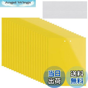 yzKALOLINNA  SV[g  QߊlS ʔS h S ȒPt Q ߒ h nG 쏜 ߊl K[fjO _ ͔| ƒ؉ CG[ (20×10cm,20)