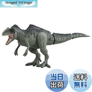 yz^Jg~[(TAKARA TOMY) AjA WVbNE[h MKmgTEX    3Έȏ