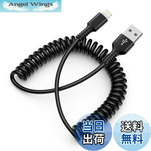 yzUSB RCCgjOP[u iphone [dP[u ԗp CarPlayΉMFIF J[R[h 2.4A }[dƍf[^] Haoano lightning RCP[u ACtH[ ԗp LkR