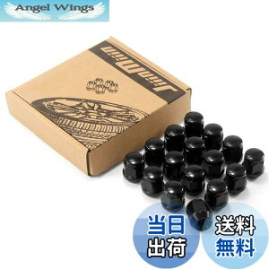 yzJiiinMiiin zC[ibg 16 V[gibg M12×P1.25 19HEX XYL Xo y | ubN