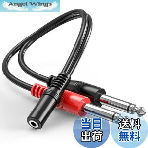 yzXeI m ϊvO 3.5mmXeI~jWbNX- 6.35mmmWvOIX×2 I[fBIϊzP[u 10cm wuernine I[fBIC^[tF[X Xs[J[ 