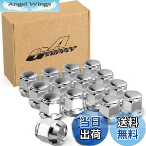 �y���������zGAsupply ���O�i�b�g M12 x P1.5 �z�C�[���i�b�g �e�[�p�[��60° ����24mm 19HEX �}�c�_/�_�C�n�c/�O�H�ɂɑΉ� �X�`�[���� 16�Z�b�g �N����