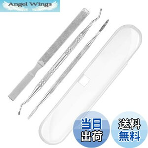 【送料無料】爪垢取り 爪やすり 爪リフター 3本セット ケース付き ステンレス製 爪垢とり 足の爪 爪ケア 巻き爪 厚い爪 ネイルケア