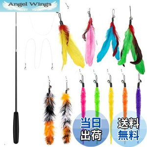 yz14 _Zbg L ColiChili L炵 VR Ĥ pH11 _t pނ莅2 ԂԂ ybgObY ˂pi