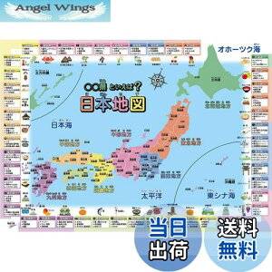 yzCwK|X^[ {n} (ƌ( 60×42cm))