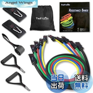 �y���������zTheFitLife �g���[�j���O�`���[�u �`���[�u �g���[�j���O �؃g���`���[�u (����/�V�F/�g�F/����/�n�F)