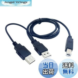 yzcablecc fAUSB 2.0IXWBIXYP[u 80cm v^[&XLi[&OtHDDP[uCCp